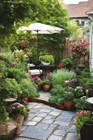 Petra Stephenson (petrastephenson61)