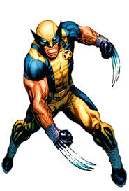 When it is fully grown, a wolverine is about the size of a medium dog: Wolverine Character Wikipedia