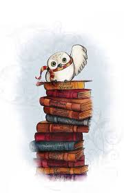 Pinterest Enchantedinpink Harry Potter Owl