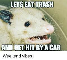 Unless she's got a master plan i don't know about. Lets Eat Trash And Get Hit By A Car Uickmeme Reddit Meme On Me Me