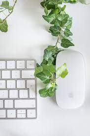 Find the best aesthetic wallpapers on wallpapertag. Green Aesthetic Pictures Download Free Images On Unsplash