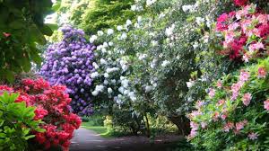Sheringham Park Gorgeous Gardens Garden Ideas Uk Gardens Of The World