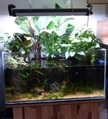 Riparium Premier Riparium De Patrice B Page 9 Fish Tank Garden Aquarium Fish Nature Aquarium