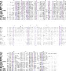 Its current status is listed as active. Structural And Functional Relationship Of Cassia Obtusifolia Trypsin Inhibitor To Understand Its Digestive Resistance Against Pieris Rapae Sciencedirect