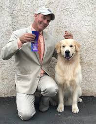 Dog sales, dog adoption, breed introduction Golden Retriever Dogs In Utah County Ut Golden Havoc Kennels