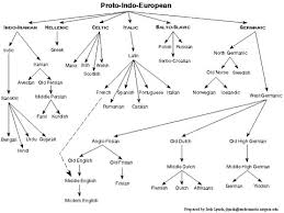 the proto indo european family soho press