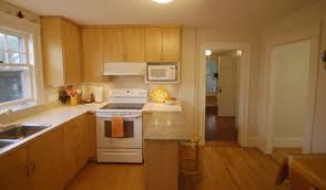 Nexus Birch Looking At Ikea Cabinets Best Color For Timeless Contemporary Kitchens Forum Garde Freestanding Kitchen Beech Kitchen Cabinets Beech Kitchen