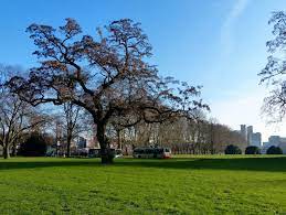 We did not find results for: Trfihi Parks Parks Hiroshima Nagasaki Park