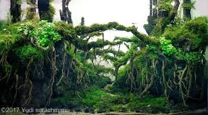 Aquascaping, terrascaping, paludarium, pico tanks, biotope. Aquascape Ideas Aga Aquascaping Contest 2017