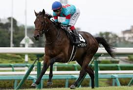 日本ダービーなど有観客で開催 2021/5/10 21:00 (2021/5/10 21:03 更新) 日本中央競馬会（jra）は10日、15日以降の東京競馬について、事前にインターネット. Https Xn 6jwp9bq1vcjvlek Com Tennousho Spring2021forecast