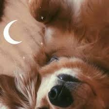 Ben Sulbasi Bensulba Pinterest Te