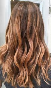 Pinterest Carolinecourier Long Hair Styles Haircuts For Long Hair Hair Styles