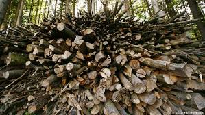 Umumnya kayu hasil penebangan liar akan kasus perusahaan membuang limbah industri di aliran sungai di tengah hutan sering kali terdengar. Pengelolaan Oleh Masyarakat Cara Terbaik Hadapi Penebangan Hutan Dunia Informasi Terkini Dari Berbagai Penjuru Dunia Dw 22 03 2017