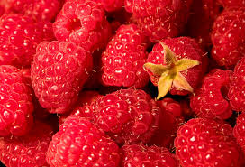 Red raspberry png images, red, red hair, red fox, red meat, black raspberry, red red red hair red fox red meat black raspberry red raspberry leaf raspberry pi. Raspberry Plant And Fruit Britannica