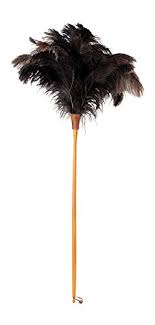 Birds Of The Same Feather Make A Good Feather Duster Handmade Ostrich Feather Duster Feather Duster Ostrich Feathers Beechwood