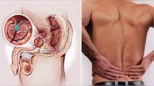 But whatever, the sign is one of. 7 Early Warning Signs For Prostate Cancer That You Should Not Ignore House Illustres