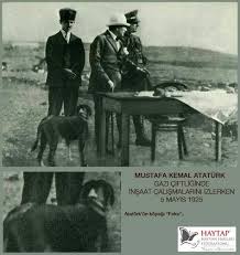 Dilek Cansel Adli Kullanicinin Ataturk Un Kopek Sevgisi Panosundaki Pin Hayvan Resim Ve Ormanlar