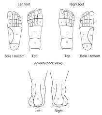 A painful mildly red and mildly swollen area usually found on the ball of the foot, either underneath the middle of the metatarsal heads or on inflammation occurring on the bottom of the foot just behind the toes due to an overstretching of the ligament that attaches the toe bone to the metatarsal bone. The Areas Used For Scoring Of The Foot Pain Manikin Download Scientific Diagram