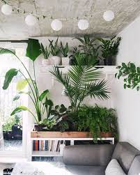 Jeannie Phan Green Studio Space Studioplants Jeanniephan Arredamento Piante Da Interni Arredare Con Le Piante Da Appartamento Design Del Prodotto