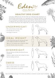346 kcal/day ÷ 95 kcal/can = 3.64 cans of tiny tiger pate chicken recipe wet cat food per day. Weight Management With Eden Holistic Pet Foods Eden Holistic Pet Foods