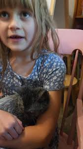 Halloween 🎃 W A F F L E winner announced! , Eeeekkkkk CONGRATULATIONS! ,  Thank you all who entered! We invite you all to use the amount towards a  future lykoi kitten 😍😍