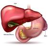 1 the free dictionary „spleen. 1