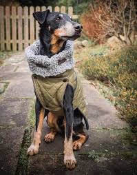 Das schnittmuster gibt's auch in großen größen! Hundemantelchen Blanket Ebook Schnittmuster Mit Tutorial