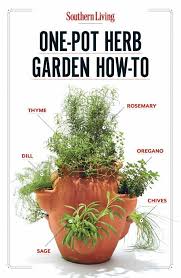 Homepage Herb Garden Pots Container Gardening Vegetables Herb Pots