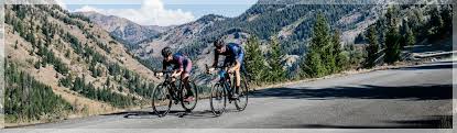 At least one hand must be kept on the handlebars at all times. Reynolds Cycling Find A Distributor Hayes Bicycle