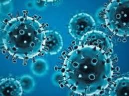Alert in Bihar regarding Chinese HMPV virus arrangements made on the lines  of Corona know the symptoms and prevention चीनी HMPV वायरस को लेकर बिहार  में अलर्ट, कोरोना की तर्ज पर होंगे