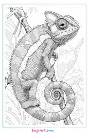 chameleon coloring page