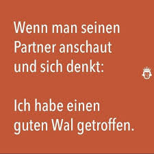 Paar Spruche Lustig Witzig Spruche Bild Bilder Witzige Spruche Witzige Bilder Spruche Lustige Spruche