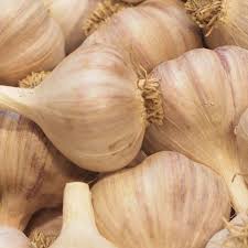 Epingle Sur Jardin Potager