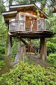 Pin By Alida Coetzee On Tree Houses Beautiful Tree Houses Modern Tree House Tree House