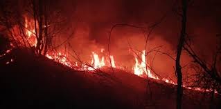 Jun 24, 2021 · fiamme nell'area archeologica delle cave di cusa a campobello di mazara, nel trapanese. Gli Incendi Dolosi In Calabria Un Flagello Contro La Natura E La Nostra Stessa Sicurezza