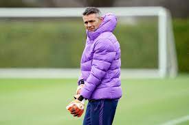 Nuno santos during our premier league match against brighton & hove albion fc (01/11/2020). Tottenham Goalkeeping Coach Nuno Santos Receives One Match Ban After Sending Off Times Series