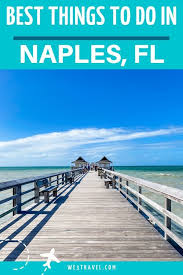 Fun Things To Do In Naples Florida In 2020 Naples Florida Dolphin Tours Florida Vacation