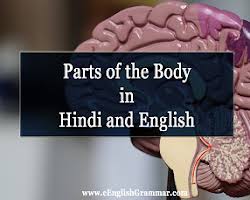 Maybe you would like to learn more about one of these? Kitchen Items Utensils Tools In Hindi And English Eenglishgrammar Com