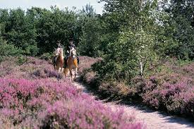 See all things to do. Ruiteren Mennen