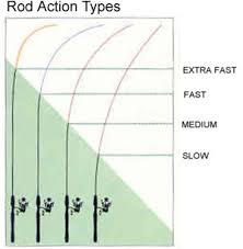 true fishing rod action chart 2019