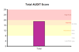 Image result for Grading Scale for Alcohol Use