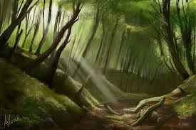 We did not find results for: Magic Forest Wallpapers Wallpaper Cave