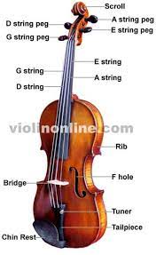 Caring For Your Instrument - North Muskegon Elementary Strings