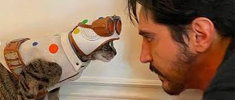 I'm A Sketchcover..!”