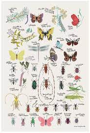Millikan, who devised a method of measuring the minute electric charge that is present on many of the droplets in an oil mist. 340 Butterflies Two Ideas Butterfly Art Butterfly Beautiful Butterflies