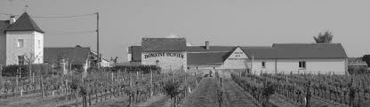 You will receive our newsletter when it is. Domaine Olivier Vins De Saint Nicolas De Bourgueil Et Bourgueil
