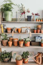 Wooden ladder shelf for plants. Object Of Desire Wooden Ladder Bookshelf For Plants Gardenista