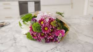 Check spelling or type a new query. Pin On Fleurs