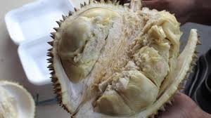 Selisih waktu jepang dan indonesia (wib) adalah 2 jam saja. Mau Tahu Beda Durian Asal Indonesia Dengan Durian Malaysia Atau Thailand Tribunnews Com Mobile