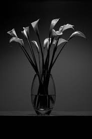 Black And White Still Life Photography Flowers Black And White Roses Art Deco Flowers Flower Drawing